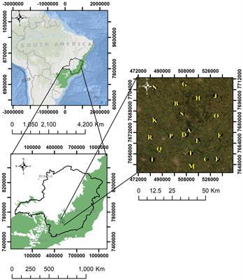 Small Landscape Elements Double Connectivity in Highly Fragmented Areas of the Brazilian Atlantic Forest